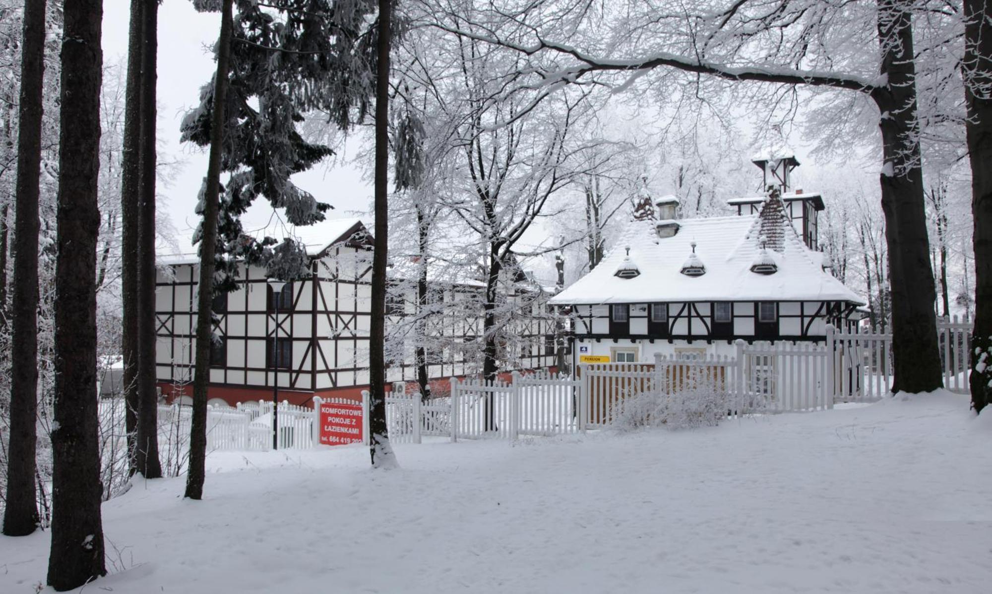Bukowy Dworek Szczawno-Zdroj Bagian luar foto