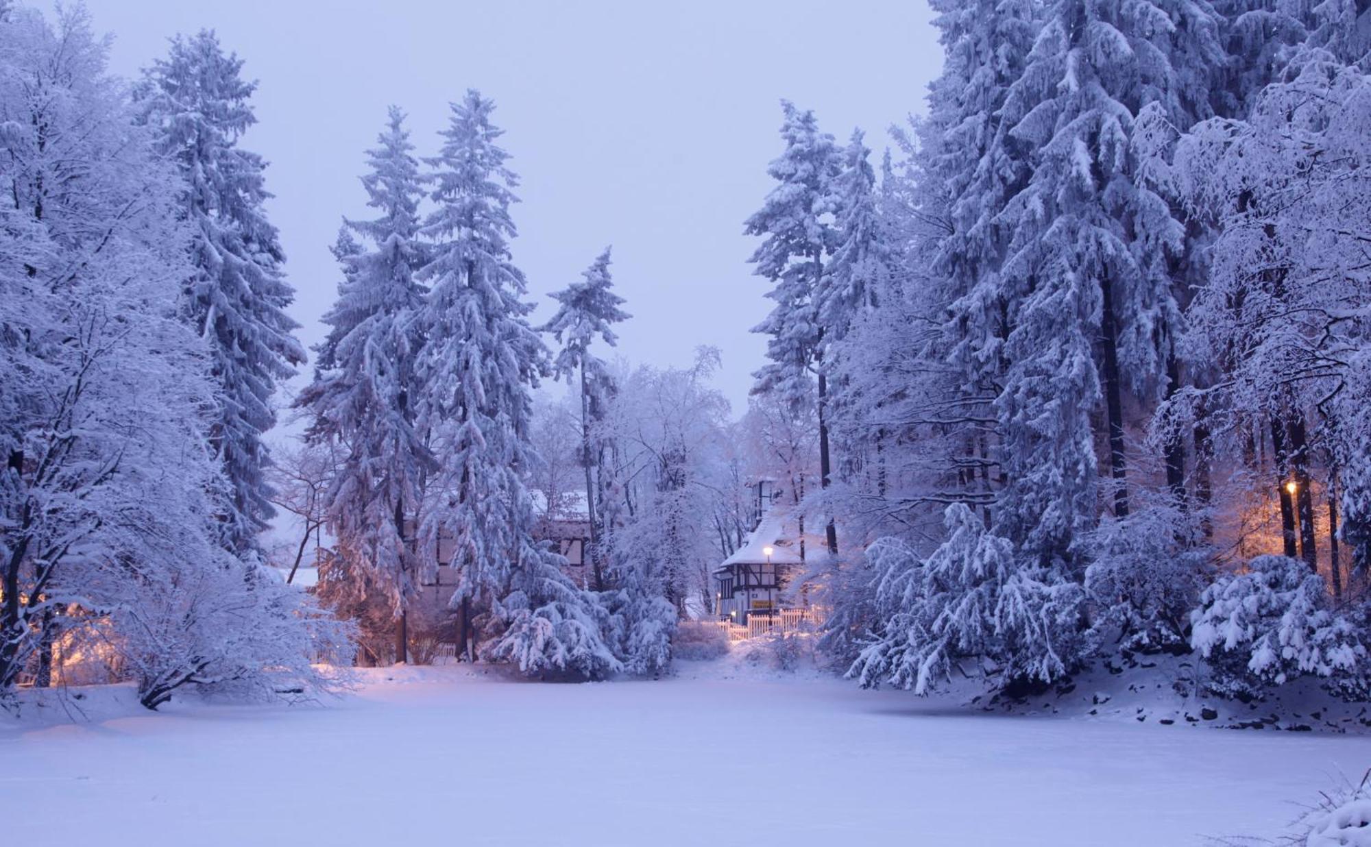 Bukowy Dworek Szczawno-Zdroj Bagian luar foto