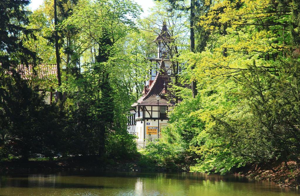 Bukowy Dworek Szczawno-Zdroj Bagian luar foto