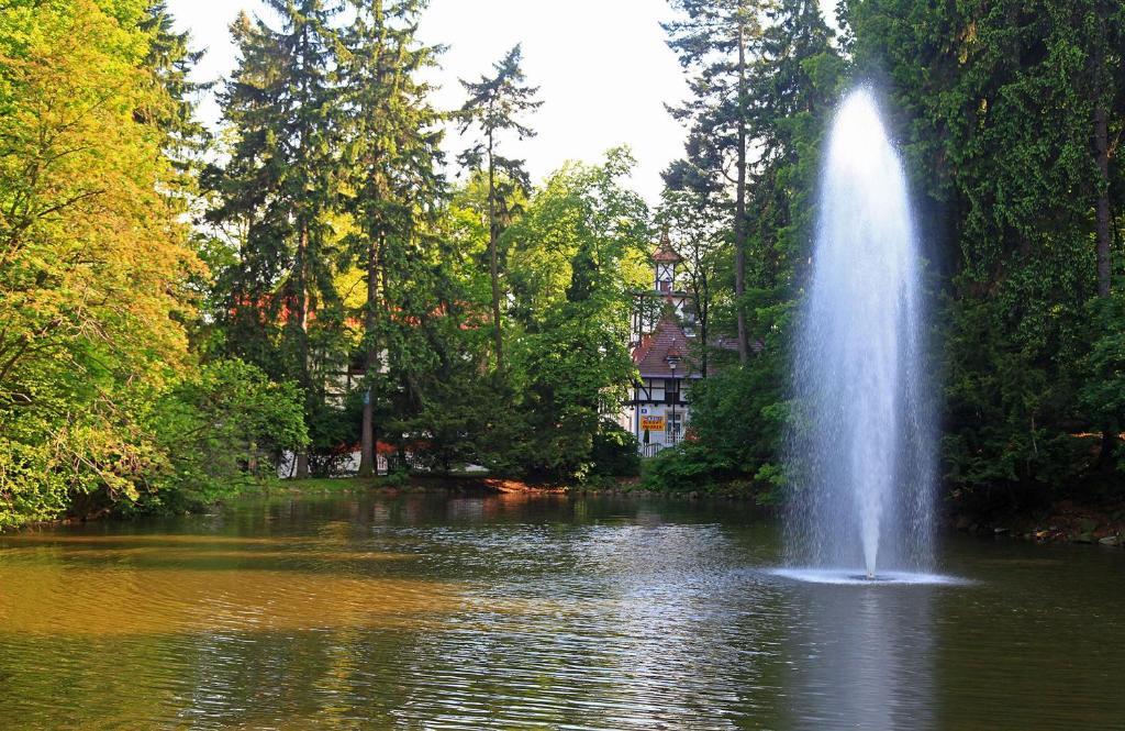 Bukowy Dworek Szczawno-Zdroj Bagian luar foto